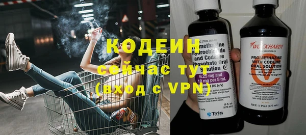 прущие крисы Абаза