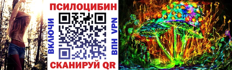 Псилоцибиновые грибы MAGIC MUSHROOMS где можно купить Касли